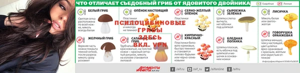 марки lsd Пересвет