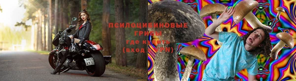 мяу мяу мука Аркадак