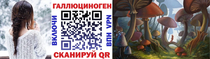 Галлюциногенные грибы Magic Shrooms  где найти   площадка как зайти  Тайшет 