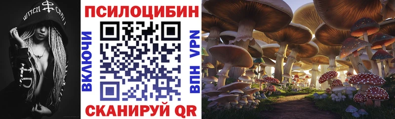 Галлюциногенные грибы MAGIC MUSHROOMS Тайшет